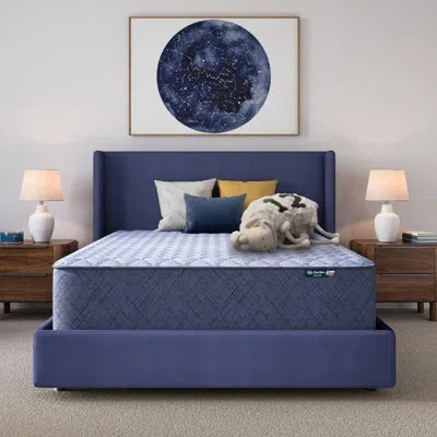 Serta Five Star Mattress Sleep To Go 14" Firm Mattress In A Box -full