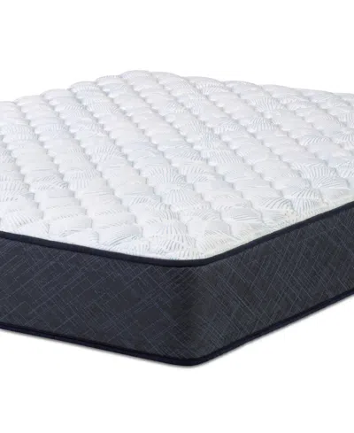 Serta Perfect Sleeper Adoring Night 11" Plush Euro Top Mattress Set-twin Xl