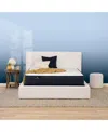 Serta Perfect Sleeper Adoring Night 10.5" Firm Mattress-twin In Transparent