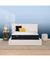 Serta Perfect Sleeper Adoring Night 11" Plush Euro Top Mattress Set, Queen Split In Transparent