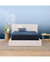 Serta Perfect Sleeper Cobalt Calm 13" Plush Mattress-king In Transparent