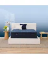 Serta Perfect Sleeper Cobalt Calm 14" Firm Pillow Top Mattress-king In Transparent