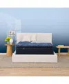 Serta Perfect Sleeper Cobalt Calm 14" Medium Pillow Top Mattress-twin Xl In Transparent