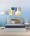 Serta Perfect Sleeper Cobra Lily 10.5" Firm Tight Top Mattress, Queen In Transparent