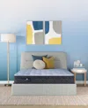 Serta Perfect Sleeper Cobra Lily 11" Plush Euro Top Mattress Set, Queen In Transparent