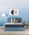Serta Perfect Sleeper Iceland Poppy 12 Firm Tight Top Mattress Collection In Transparent