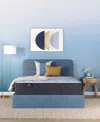 Serta Perfect Sleeper Iceland Poppy 13" Plush Mattress Set, Queen In Transparent