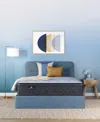 Serta Perfect Sleeper Iceland Poppy 14" Plush Pillow Top Mattress Set, Full In Transparent