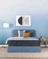 Serta Perfect Sleeper Iceland Poppy 14" Plush Pillow Top Mattress Set, Full In Transparent