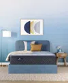 Serta Perfect Sleeper Iceland Poppy 14" Plush Pillow Top Mattress Set, Full In Transparent