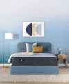 Serta Perfect Sleeper Iceland Poppy 14" Plush Pillow Top Mattress Set, Full In Transparent