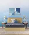 Serta Perfect Sleeper Osiria Rose 12 Extra Firm Tight Top Mattress Collection In Transparent