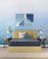 Serta Perfect Sleeper Lavender Falls 12" Medium Hybrid Tight Top Mattress Set, Twin Xl In Transparent