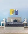 Serta Perfect Sleeper Osiria Rose 12 Extra Firm Tight Top Mattress Collection In Transparent