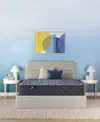Serta Perfect Sleeper Osiria Rose 12 Extra Firm Tight Top Mattress Collection In Transparent