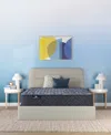 Serta Perfect Sleeper Osiria Rose 12 Extra Firm Tight Top Mattress Collection In Transparent