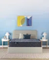 Serta Perfect Sleeper Osiria Rose 12 Extra Firm Tight Top Mattress Collection In Transparent