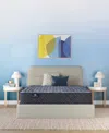 Serta Perfect Sleeper Osiria Rose 12" Extra Firm Tight Top Mattress, Twin Xl In Transparent