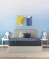Serta Perfect Sleeper Osiria Rose 13 Plush Tight Top Mattress Collection In Blue