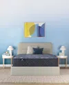 Serta Perfect Sleeper Osiria Rose 13" Plush Tight Top Mattress, King In Transparent