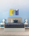 Serta Perfect Sleeper Osiria Rose 13 Plush Tight Top Mattress Collection In Blue