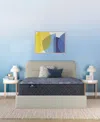 Serta Perfect Sleeper Osiria Rose 13" Plush Tight Top Mattress, Twin In Transparent