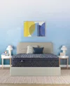 Serta Perfect Sleeper Osiria Rose 15 Plush Pillow Top Mattress Collection In Blue