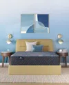 Serta Perfect Sleeper Osiria Rose 12 Extra Firm Tight Top Mattress Collection In Transparent