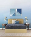 Serta Perfect Sleeper Tundra Valley 14 Firm Hybrid Tight Top Mattress Collection In Blue
