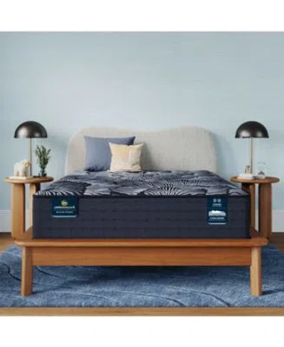 Serta Perfect Sleeper X Excelled Plush 14.25 Quilted Hybrid Mattress Collection In Transparent