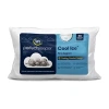 Serta Perfectsleeper Cool Ice Firm Support Pillow In White