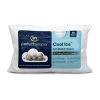 Serta Perfectsleeper Cool Ice Soft/medium Support Pillow In White