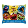 Sesame Street Rectangular Throw Pillow In Blue
