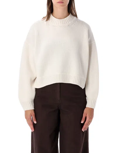 Sessun Cropped Ribbed Mock Neck Sweater In Fleur De Sel