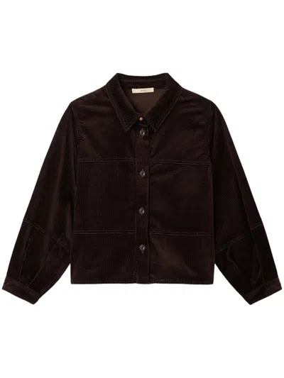 Sessun Leotown Overshirt By  In Brown