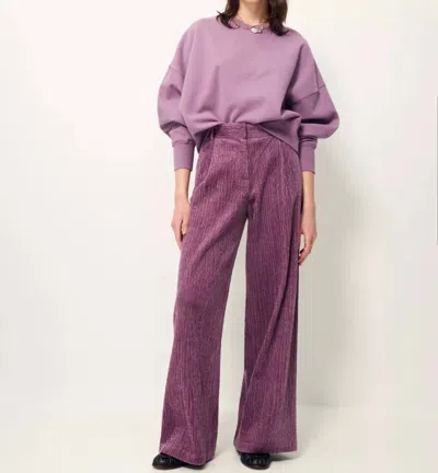 Sessun Paseo Pant In Stony Violet In Multi
