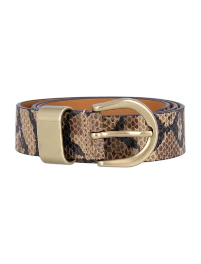 SESSUN SESSUN SESSÙN MILOA E PYTHON-PRINT SUEDE BELT