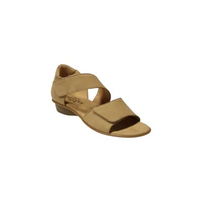 Sesto Meucci Womens's Elac Loop Sandals In Natural Nabuk In Multi