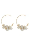 Set & Stones 7-8mm Freshwater Chip Pearl Hoop Earrings In Gold/pearl