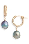 Set & Stones Adelle Keshi Pearl Hoop Earrings In Gold/peacock