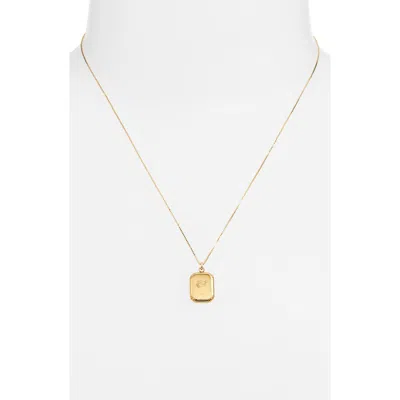 Set & Stones Audrey Birth Flower Pendant Necklace In Gold/april - Daisy