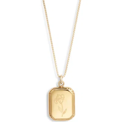 Set & Stones Audrey Birth Flower Pendant Necklace In Gold/february - Iris