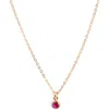 Set & Stones Birthstone Charm Pendant Necklace In Gold/january