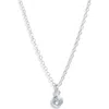 Set & Stones Birthstone Charm Pendant Necklace In Metallic