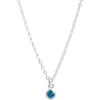 Set & Stones Birthstone Charm Pendant Necklace In Silver/december