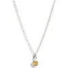 Set & Stones Birthstone Charm Pendant Necklace In Metallic