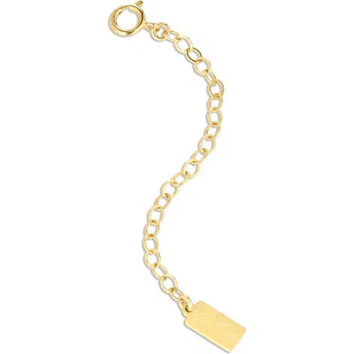 Set & Stones Dainty 2" Extender In Gold