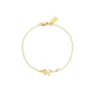 Set & Stones Elsie Birth Flower Bracelet In Gold