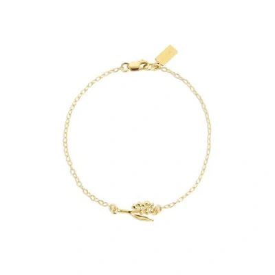 Set & Stones Elsie Birth Flower Bracelet In Gold