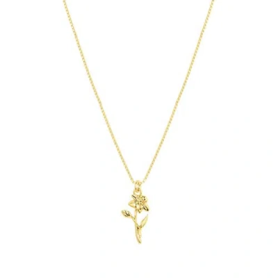Set & Stones Elsie Birth Flower Necklace In Red